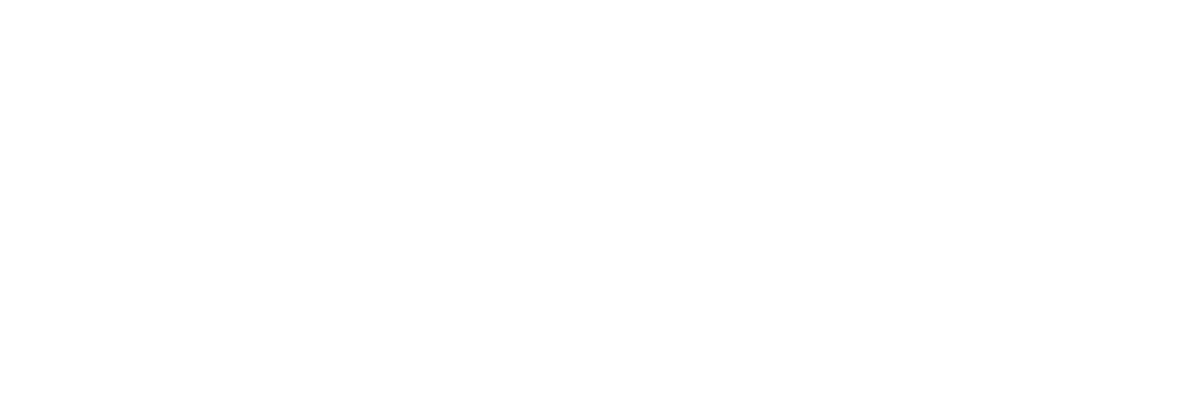 MLSE Foundation logo
